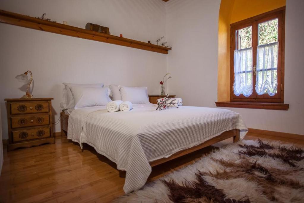 Eremia Rustic House - Entire Villa In Pelion Makrinitsa Bagian luar foto